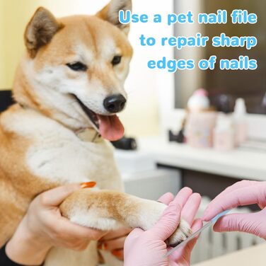 Триммер для когтів тварин Flintronic: безпечний, з LED-підсвіткою, для котів та собак, з пилозахистом (блакитний)