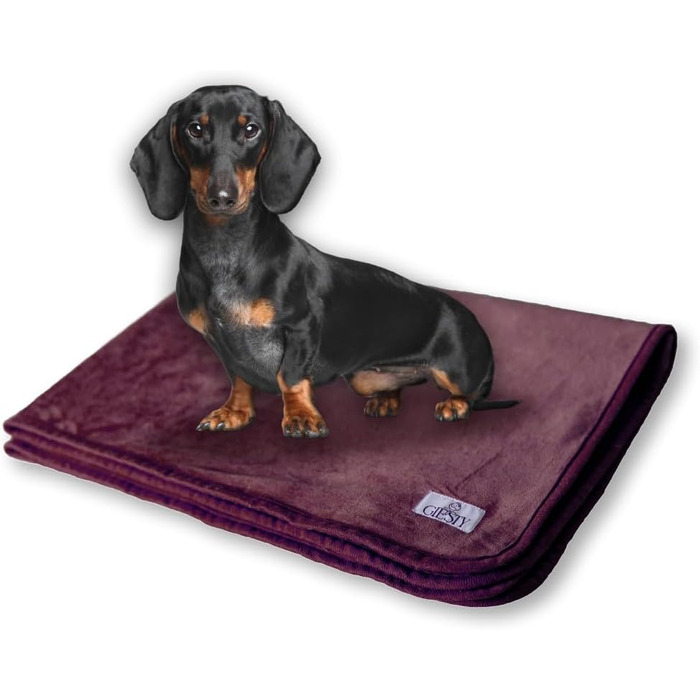 М'яка водонепроникна підстилка для собак Giesty, 60x74 см, фіолетовий колір, двостороння, для захисту дивану, можна прати в пральній машині