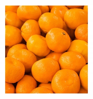 Парфумована вода Yodeyma Escitia для жінок, 100 мл