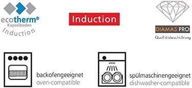 Industar Diamas Pro Stainless Steel Fry Pan - 28cm - Stiftung Warentest Winner