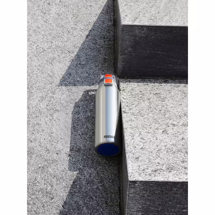 SIGG - Insulated Drinking Bottle - Thermos Flask Hot & Cold One - With Tea Strainer - Leak-proof - BPA-free - 18/8 Stainless Steel - 0.55 L