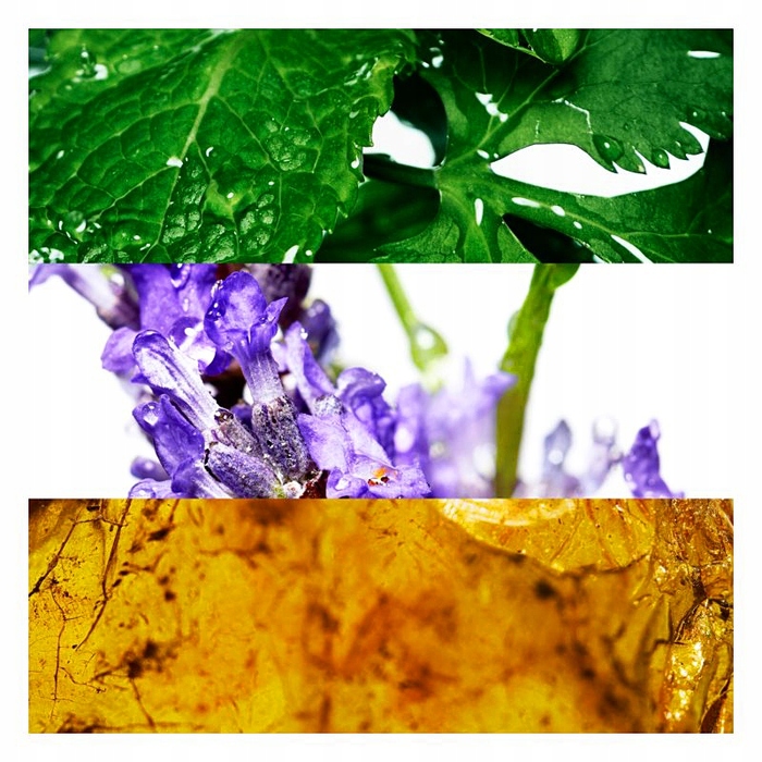 Лосьйон після гоління Davidoff Cool Water для чоловіків, 125 мл