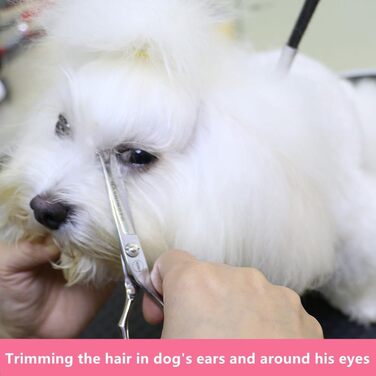 Ножиці для грумінгу собак Хашімото, 13 см, пряма клинка з мікрозубом, для обрізання навколо очей, вух, носа та лап