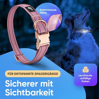 Водонепроникний нашийник для собак Leuchthal — регульований, 40-65 см, світловідбиваючий замок, флуоресцентна нитка