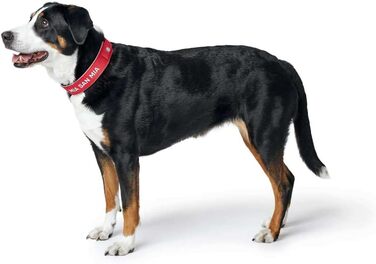 Нашийник для собак Hunter Neopren Reflect FC Bayern, L (60), червоний