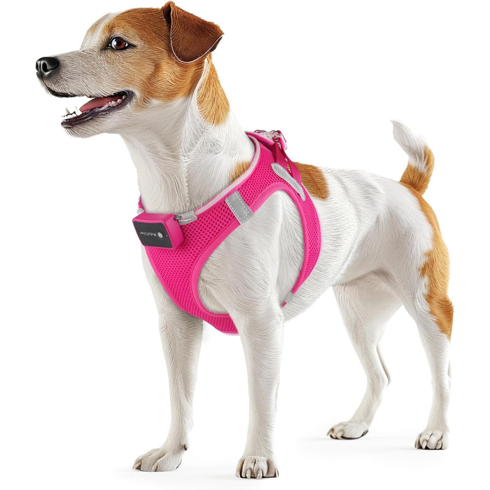 Світловідбиваючий нашийник для собак PcEoTllar з LED підсвічуванням, рожевий (3 режими)