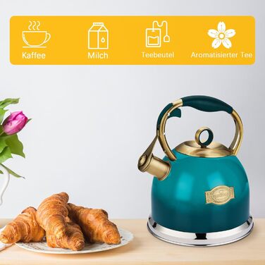 Чайник-свисток 3л з нержавіючої сталі з термостійкою ручкою, для індукційних плит (блакитний)