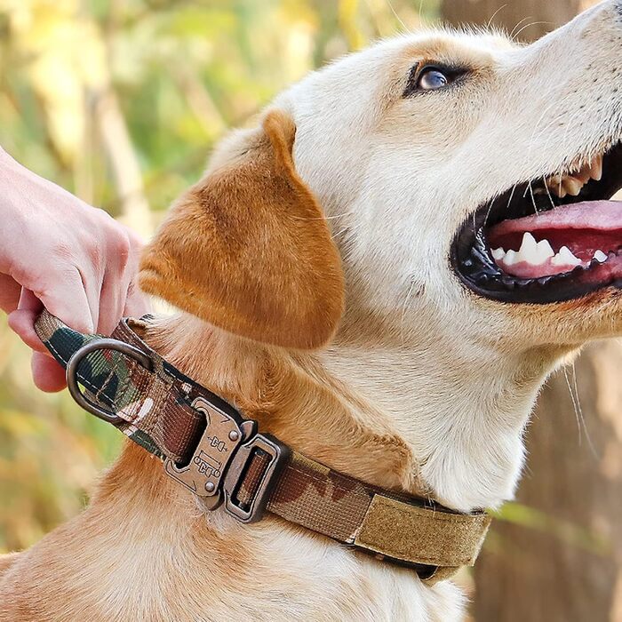 Нашийник для собак Eeyfarog, регульований з контролем, сірий, XL