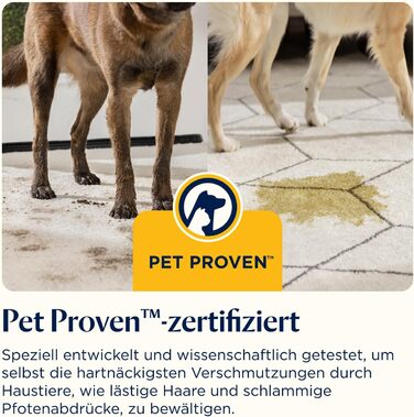 Портативний мийник для килимів Bissell SpotClean C5 - для дому, авто, човнів та диванів