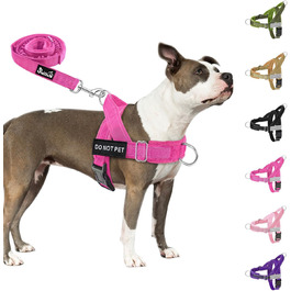 колір: магента