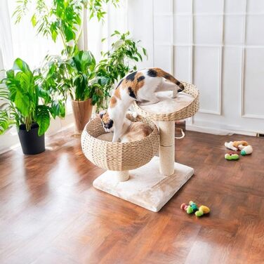 Kratzbaum Banana Leaf with Natural Sisal – 55 cm Cat Tower with 8 cm Thick Sisal Post, Incl. Soft Wool Cushion – Insect and mold resistant, robust & easy to care for