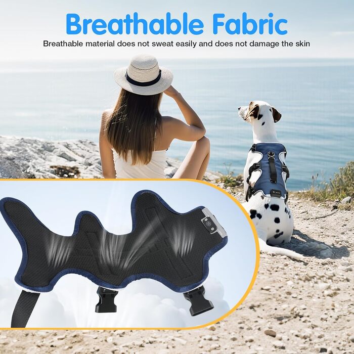 Світловідбиваючий нашийник для собак Jewyow з LED, перезаряджуваний, м'який, регульований, водонепроникний, зелений (XL)