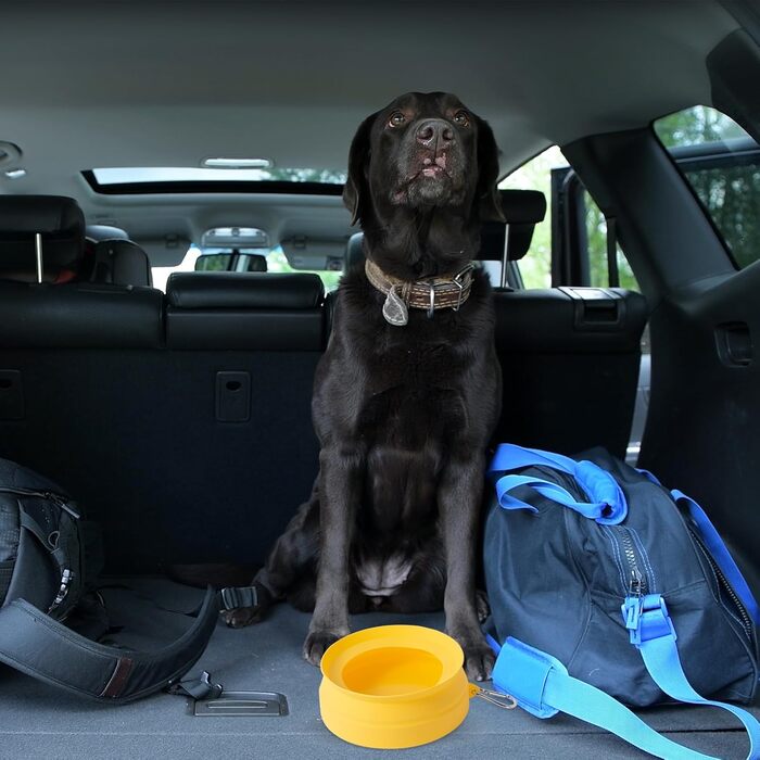 Складаний миска для води для собак SLSON, витокозахисний, портативний, для подорожей на авто, персиково-рожевий (жовтий)