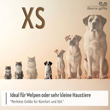 Персоналізований ошийник для собак, з іменем, для маленьких собак, 25-40 см, світловідбиваючий (фуксія, XS)