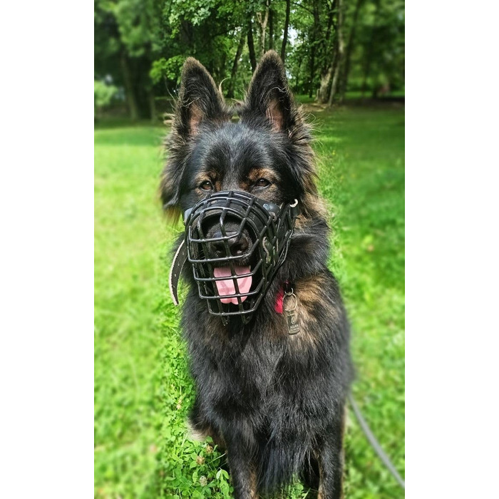 Dingo Gear Rubberized Metal Dog Muzzle for Malinois - Professional, Comfortable, Universal for Long Walks (S03048 Malinois L)