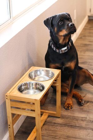 Підвищені годівниці для собак Pawfect Pets: регульована висота, 4 миски з нержавіючої сталі