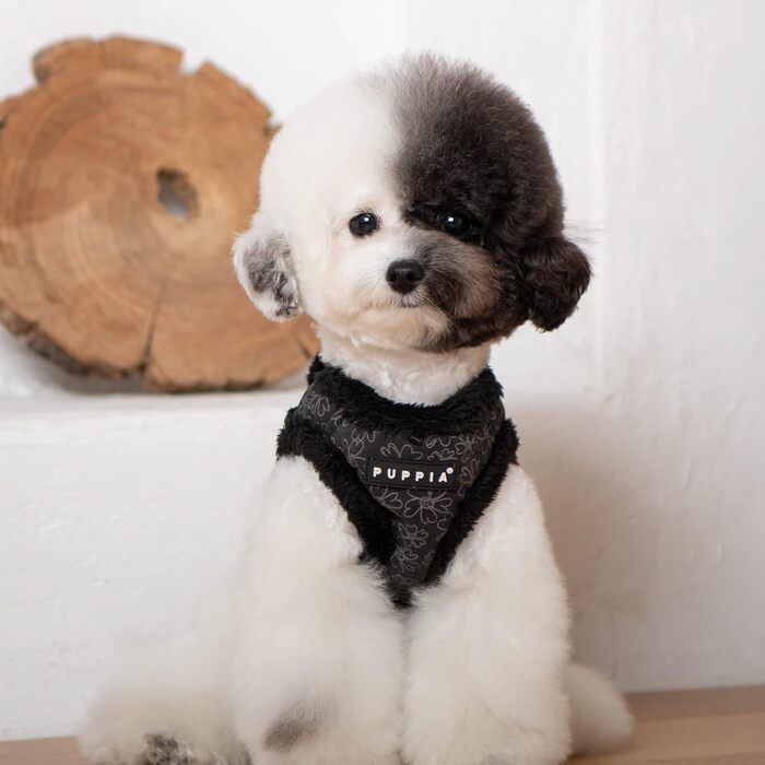 Шлейка для собак Puppia Hepatica Harness A, чорна, розмір L - регульована та комфортна