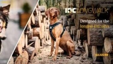 Миска для собак JUIUS K-9 IDC, рожево-сіра, розмір XS