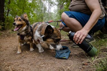 RUFFWEAR Great Basin: Складаний дорожній миска для собак, 1 л, Slate Blue (Small)