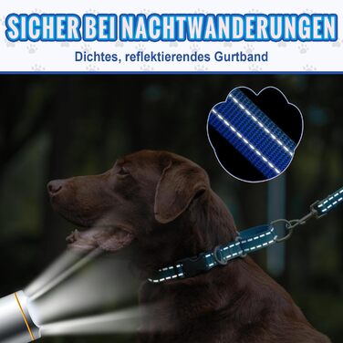 Нашийник для собак Martingale, світловідбиваючий, з зупиняючою функцією, для великих, середніх та маленьких собак, нейлон, блакитний, розмір L