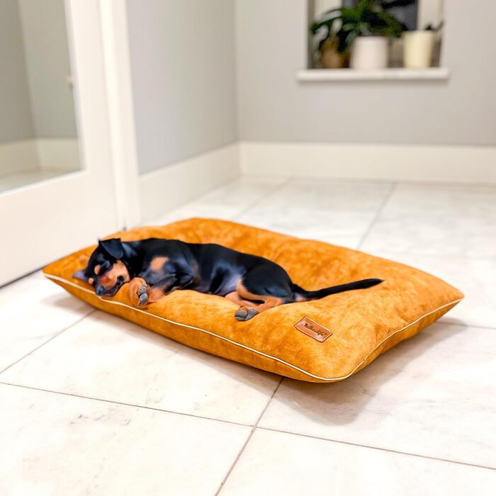 М'яке ліжко-подушка для собак та котів. Зміцнена, м'яка, безпечна для тварин. Розміри: L 80 x B 50 x H 8 см, колір: жовтий