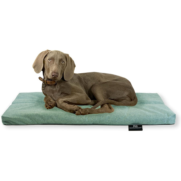 Лежанка для собак Rohrschneider, Made in EU, з антиковзким покриттям, міцна, для собак маленьких, середніх та великих порід, також для котів, з мискою, розмір 2 (тюрквіс), 120 x 75 x 7 см