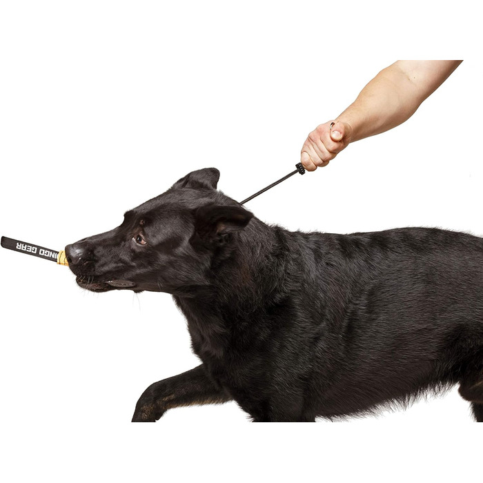 Нашийник для собак Dingo Gear, ручної роботи, міцний шнур, 2 обмежувачі, водонепроникний, для K9-тренувань, IGP, агітація, перехоплення, слухняність, чорний, L (S04049)