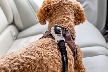 Large Car Safety Belt V2 L - Enhanced Vehicle Safety Restraint