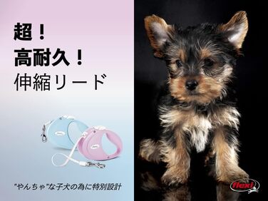 Льовішка Flexi Neon S, 5 м, чорний/неоновий-помаранчевий, світловідбиваюча поверхня, рулетка для собак до 15 кг (Рожевий, M)