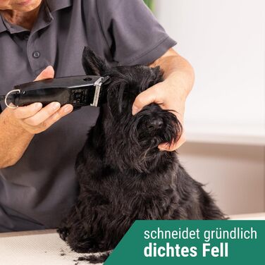 Машинка для стрижки собак Agrarzone Edition Wahl Rex - тиха модель Moser для собак та котів середніх порід - ідеальна для чутливих тварин з набором гребінок