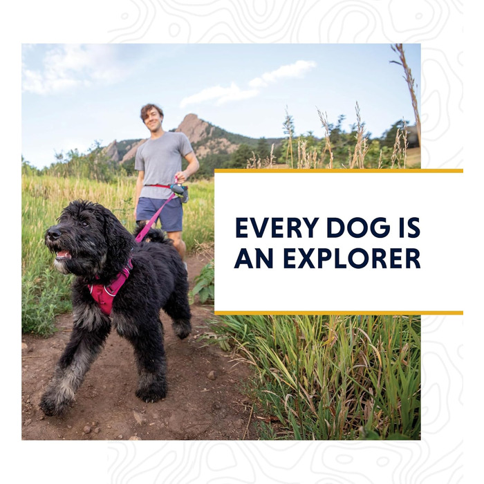 Нашийник для собак Ruffwear Web Reaction, регульований, з алюмінієвим кільцем V-подібної форми та бічною відкриваністю, зручний, світловідбиваючий, сірий (Basalt Grey), 11'-14'