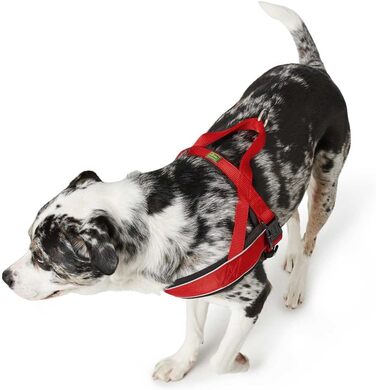 Шлейка для собак HUNTER RACING, чорна, м'яка, світловідбиваюча, регульована, розмір M-L