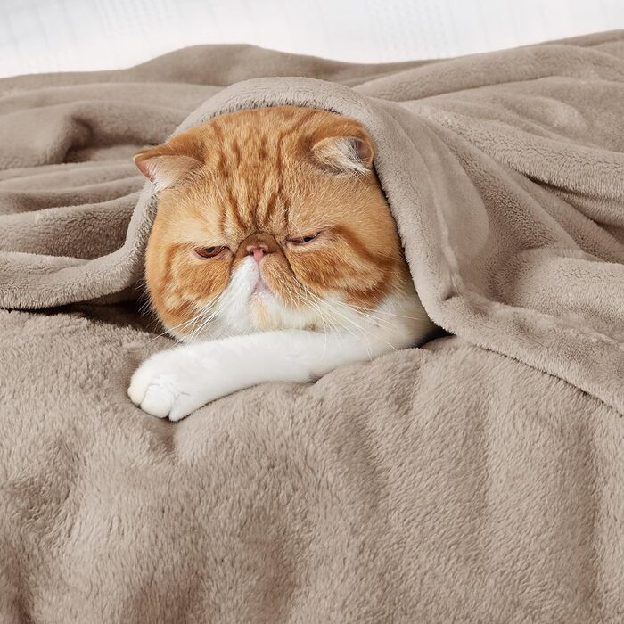 М'яка ковдра BEDSURE з флісу - тепла зимова ковдра, ковдра на диван XXL, велика ковдра для дому та відпочинку 220x240 см, ковдра на диван (Світло-коричневий, 150 x 200 см)