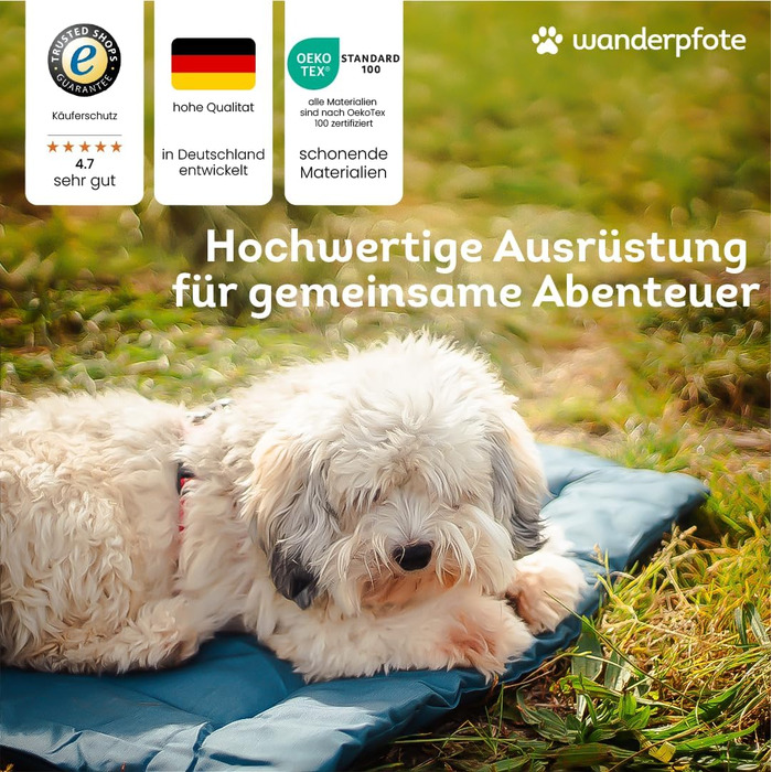 Килимок для собак Wanderpfote, 75 x 50 см – ортопедичний, водонепроникний, для подорожей та авто – сірий (розмір M)