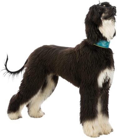 Нашийник для собак TRIXIE Active Komfort Windhunde, S-M, обхват 33-42 см, petrol/yellow, широке підкладкове під горло