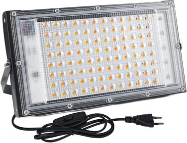 LED Floodlight 100W, Plug-in LED Floodlight, 2 Pieces 10000 Lumen LED Floodlight 3000K Warm White Outdoor Floodlight with IP65 Waterproof for Bright Garden Garage Sports Field (1 Piece)