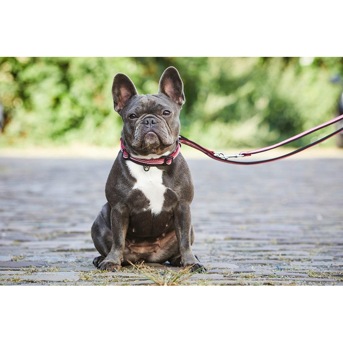 Нашийник для собак Wolters Active Pro, розмір 35-40/45-52 см, червоний/чорний