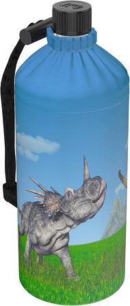 Emil Glass Water Bottle for Girls & Boys, Insulated Glass Bottle for School, Leisure, Sports: Kids & Parents Dinosaur 0.4l