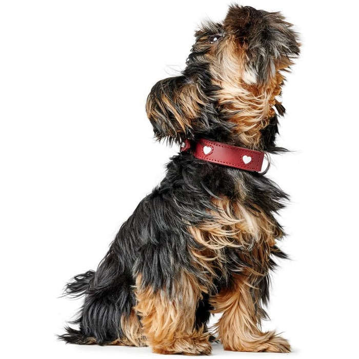 Нашийник для собак HUNTER Love, червоно-чорний, з м'якої шкіри, ручної роботи, розмір 42