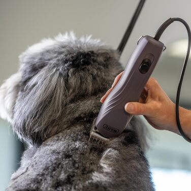 Машинка для стрижки собак та котів Agrarzone KM10+ з набором гребінців - професійний інструмент для грумерів та ветеринарів, тиха та з низькою вібрацією