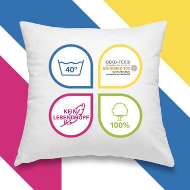 wometo 2er Set Feather Pillow 100% Feathers 40x40-300g oekoTex Pillow Insert Cotton Cover white/Inner Pillow/Pillow Filling/Small Head Pillows (2 pieces) 40 x 40 cm