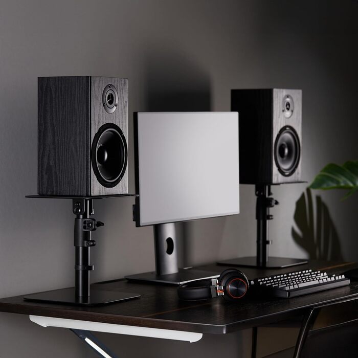 Підставка для колонок RICOO: 2 шт., регульована висота, для ПК, ТВ, студійного обладнання, універсальна, LH069-T