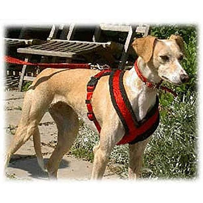 Шлейка для собак TRIXIE Premium Touren, чорна, розмір M (45–80 см), 25 мм - спортивна та зручна, з м'якою підкладкою, регульована