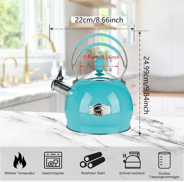 Кришка-свисток з нержавіючої сталі 2.6 л, сумісна з усіма плитами, включаючи індукційну (блакитна)