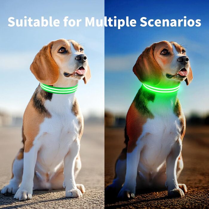 Світлодіодне нашийник для собак, перезаряджається, водонепроникний, для великих собак, 3 режими світіння (зелений, M)