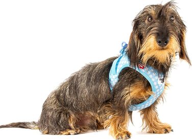 Шлейка для собак curli Clasp Air-Mesh M, блакитний колір з кругами, 3XS