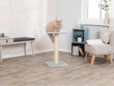 Trixie 43342 Cat Scratching Tree with Mirror, 69 cm, plated grey, 1 piece (1-pack)