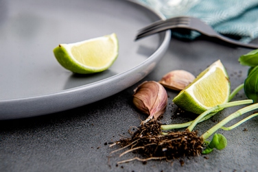 Обідній сервіз Konsimo Victo, 18 предметів