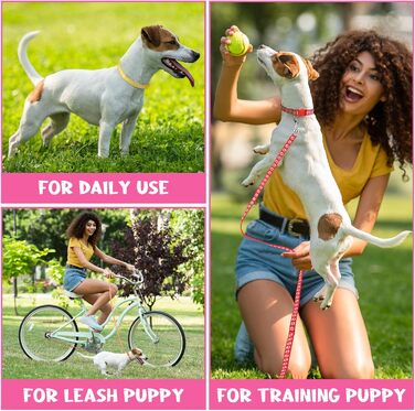 Набір повідків та нашийників для собак JieyueJewelry (36 шт.) з швидкою застібкою, регульовані, з принтом лапки, нейлон, для цуценят та маленьких собак