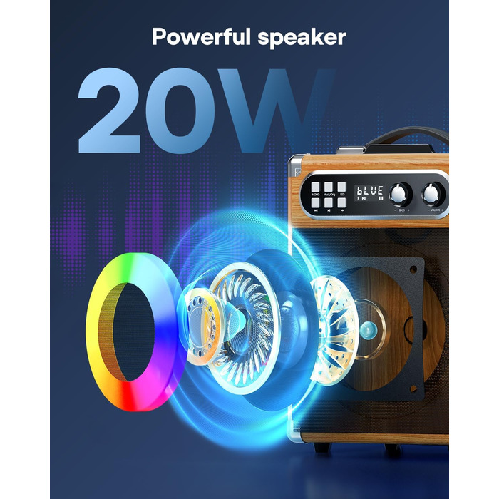 Портативна караоке-система з 2 бездротовими мікрофонами та акумуляторами, 20W, дерев'яний корпус